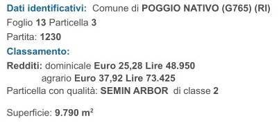 immagine annuncio 1 di 3