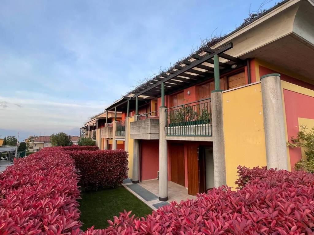 immagine annuncio 2 di 5