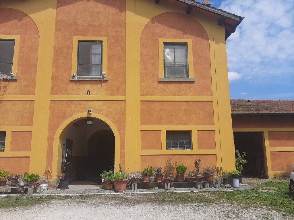 immagine annuncio 2 di 5