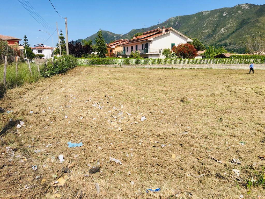 immagine annuncio 1 di 2