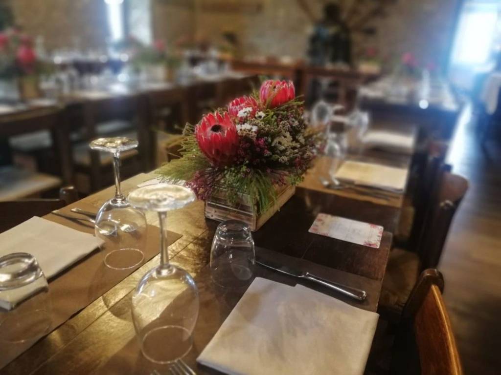 immagine annuncio 0 di 15