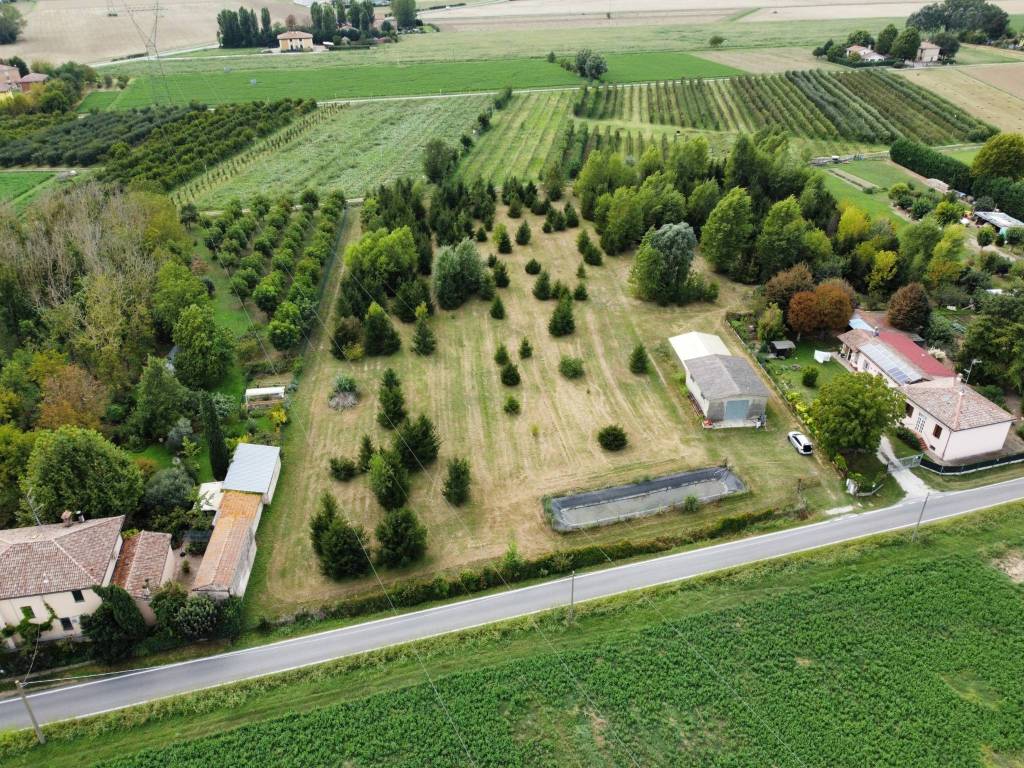 immagine annuncio 1 di 4