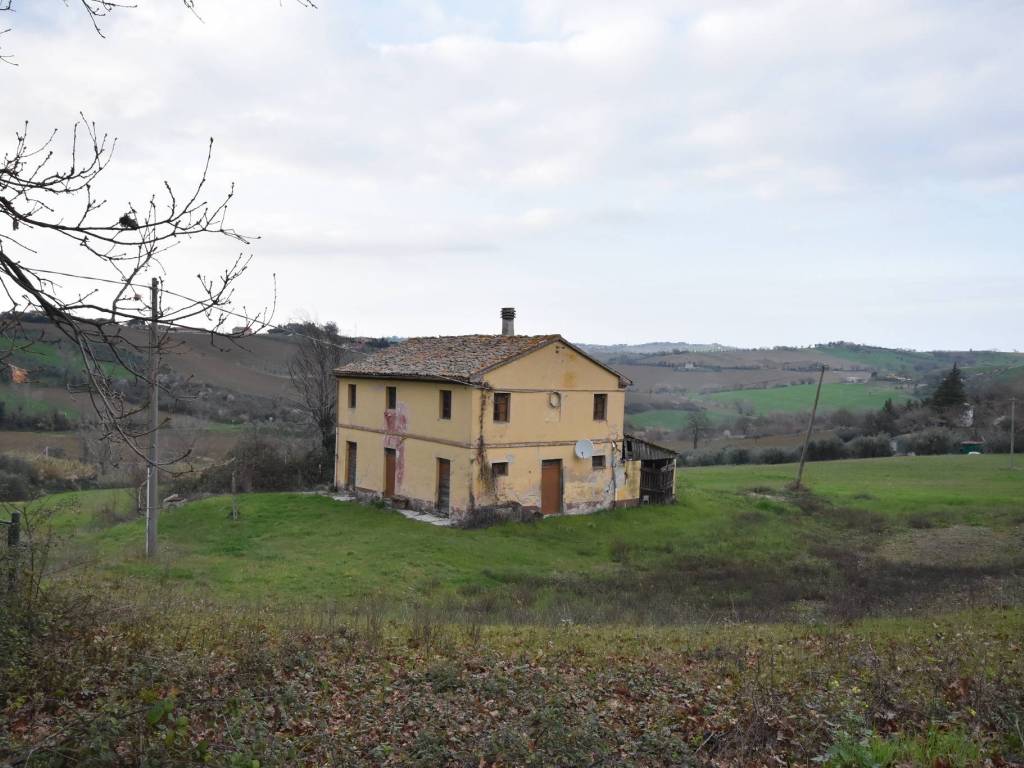 immagine annuncio 1 di 2
