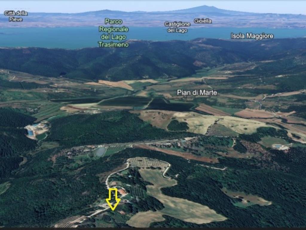 immagine annuncio 2 di 4