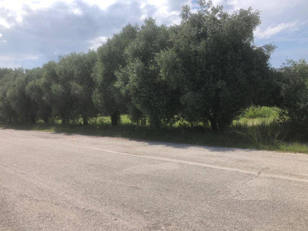 immagine annuncio 2 di 3
