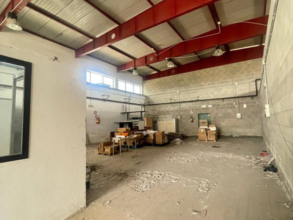 immagine annuncio 1 di 5