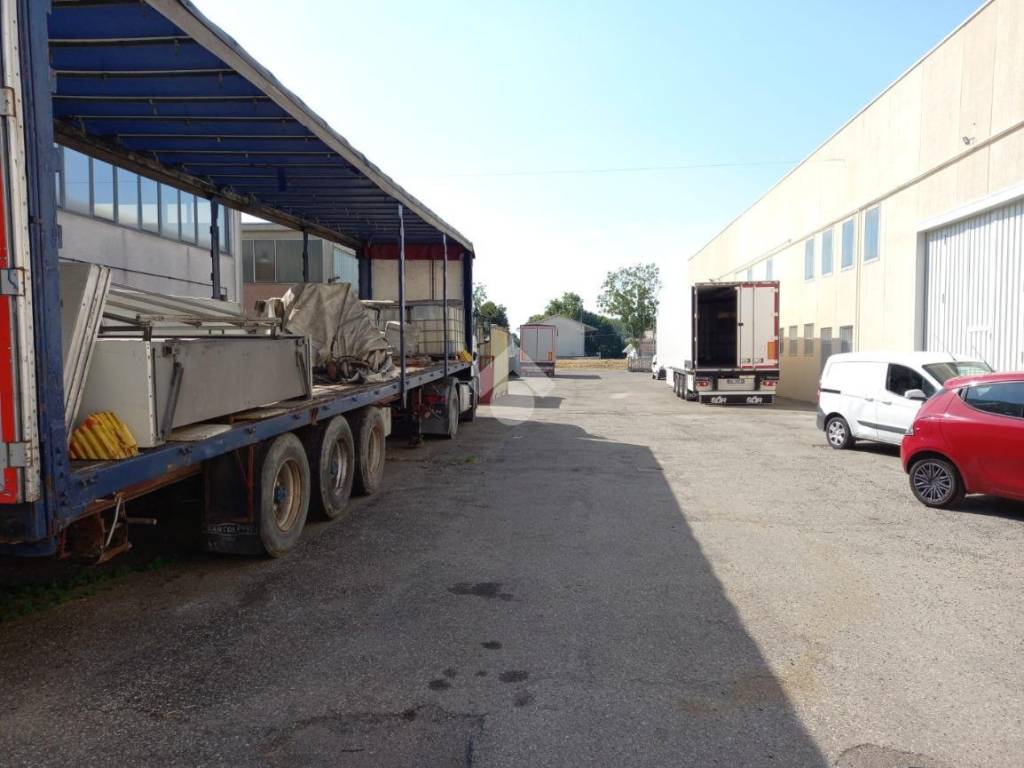 immagine annuncio 3 di 5