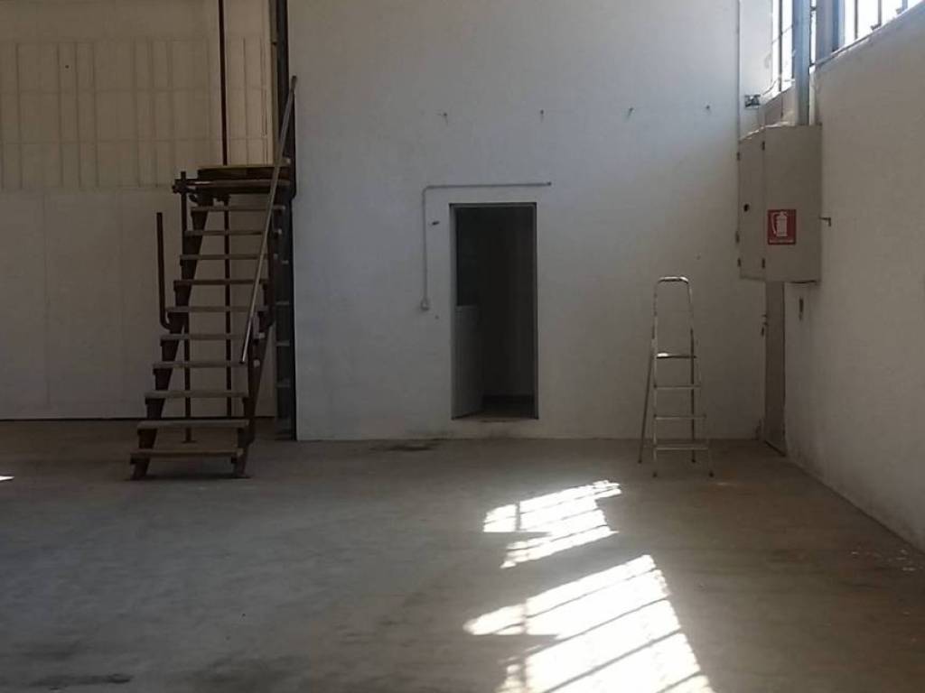 immagine annuncio 4 di 5