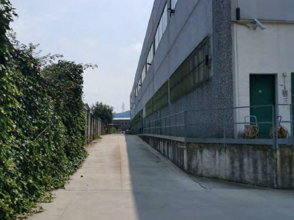 immagine annuncio 1 di 2