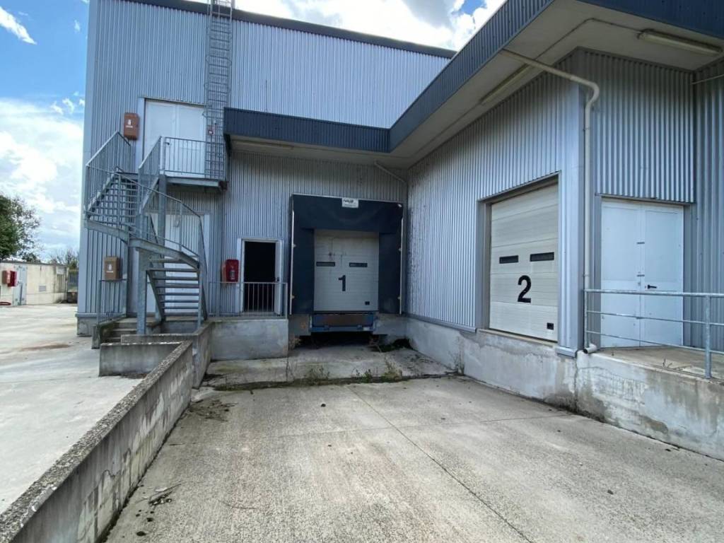 immagine annuncio 3 di 5