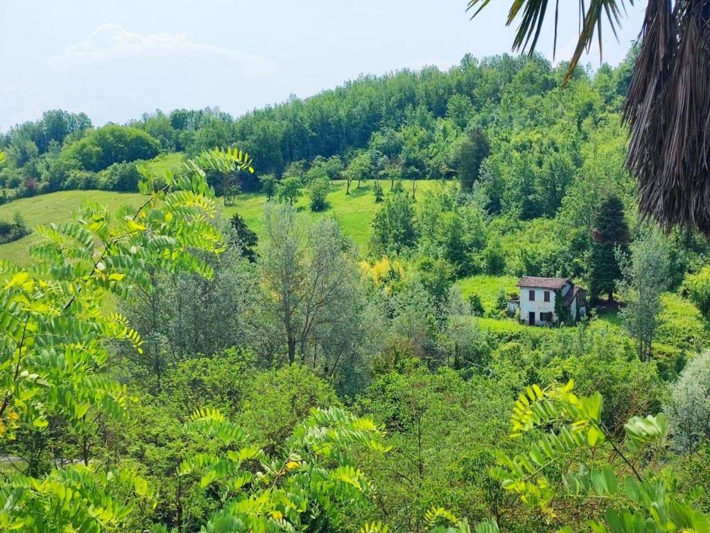 immagine annuncio 1 di 3