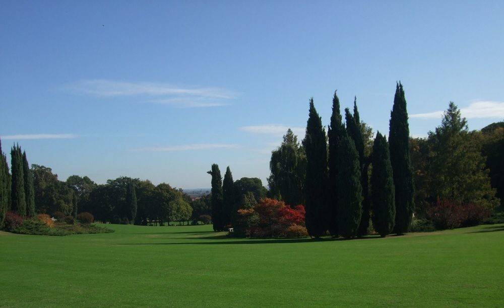 immagine annuncio 2 di 3