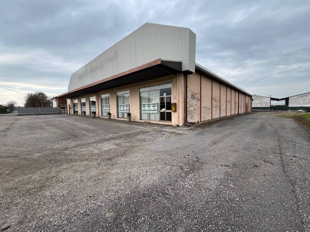 immagine annuncio 1 di 5