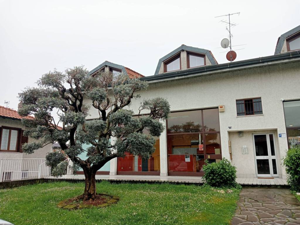 immagine annuncio 1 di 5