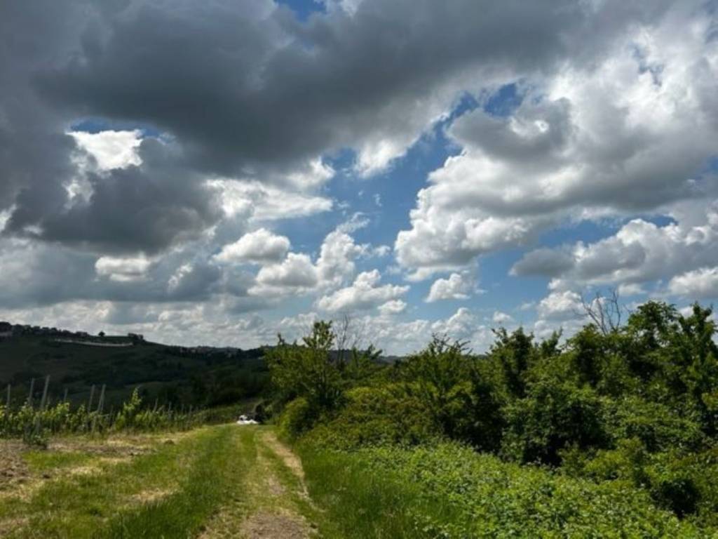 immagine annuncio 1 di 2