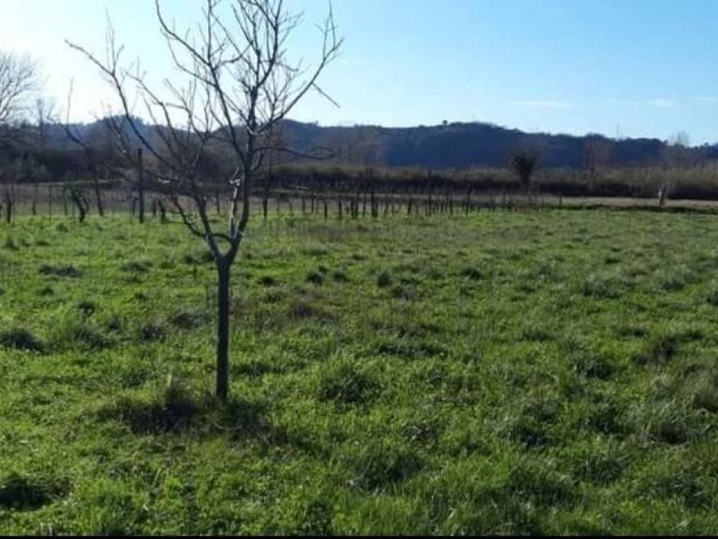 immagine annuncio 1 di 3