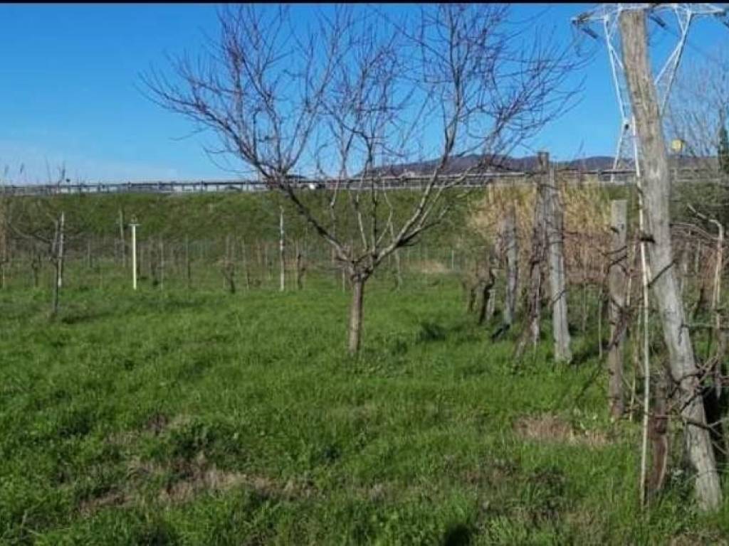 immagine annuncio 2 di 3