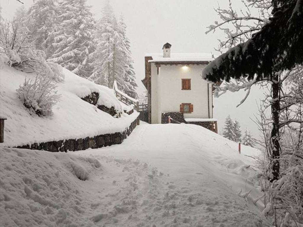 immagine annuncio 1 di 2