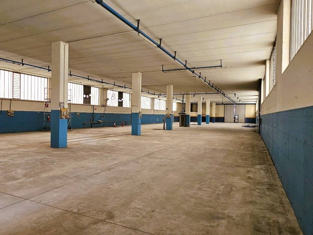 immagine annuncio 2 di 5