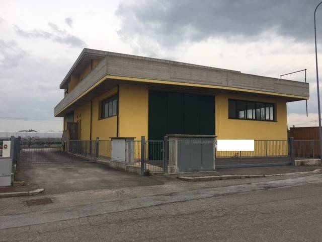 immagine annuncio 2 di 4