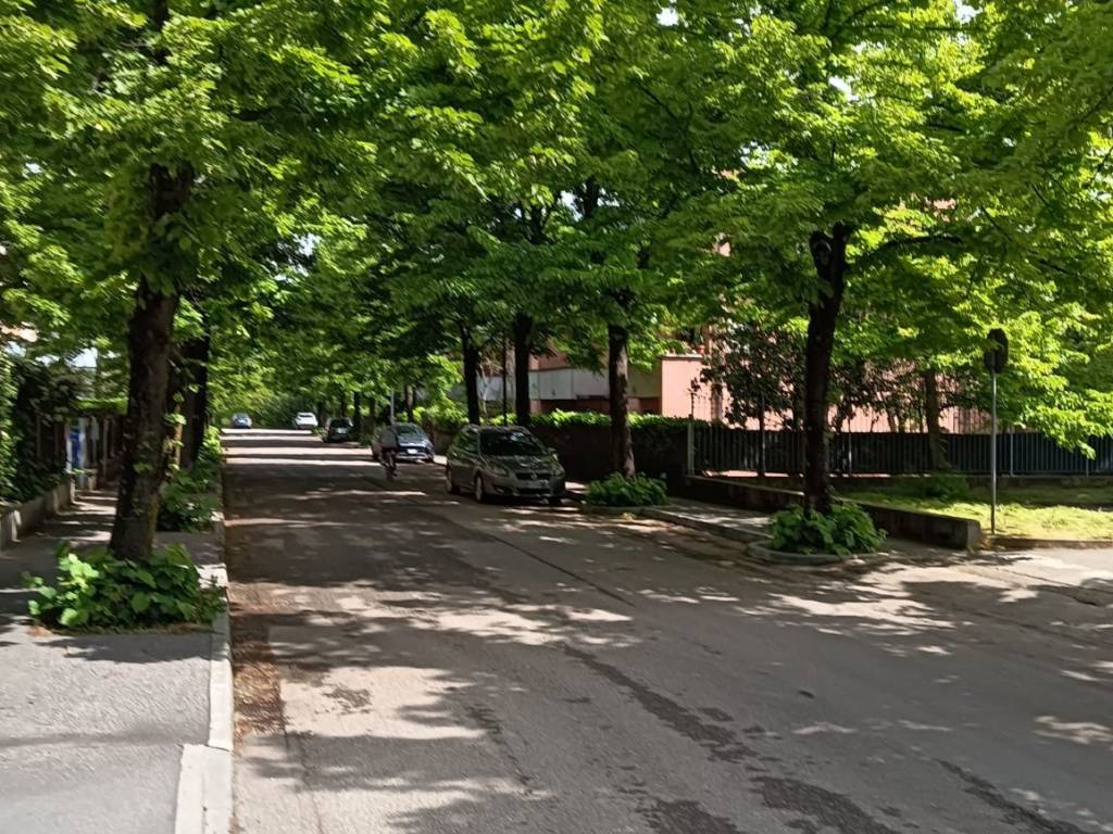 immagine annuncio 2 di 4