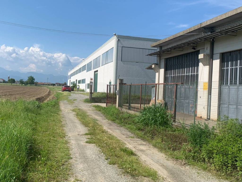 immagine annuncio 2 di 5