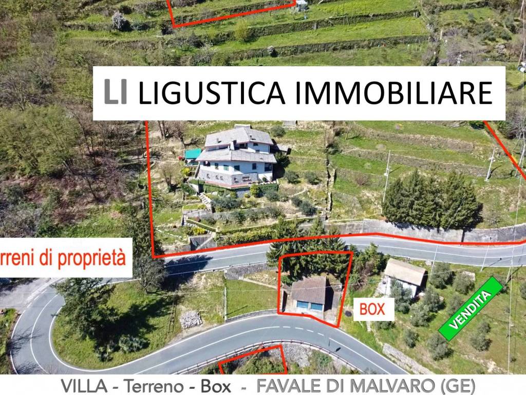 immagine annuncio 3 di 5