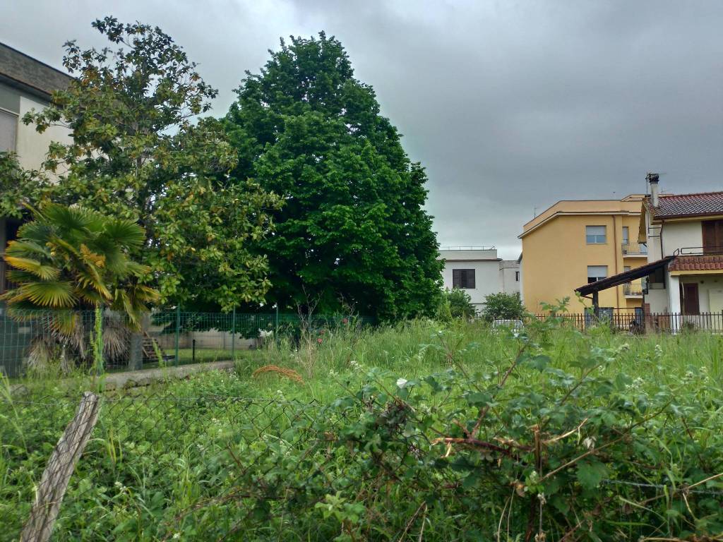 immagine annuncio 2 di 4