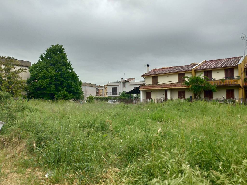 immagine annuncio 3 di 4