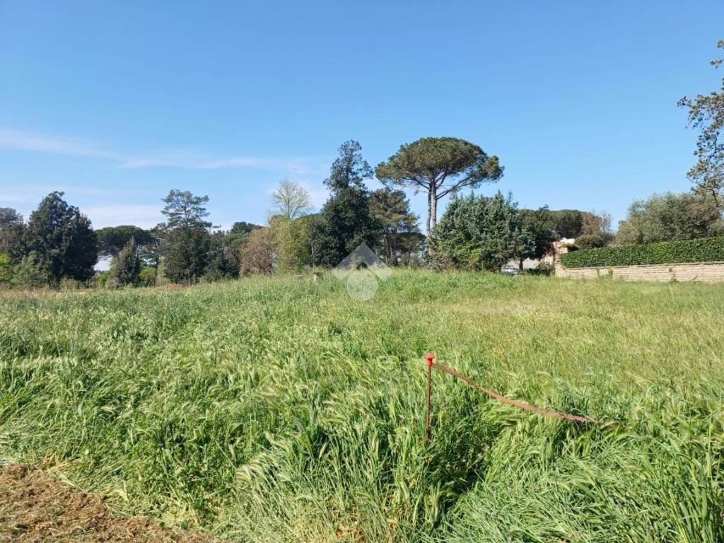 immagine annuncio 1 di 4