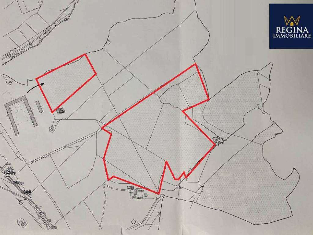 immagine annuncio 3 di 4