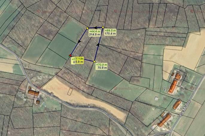 immagine annuncio 1 di 3