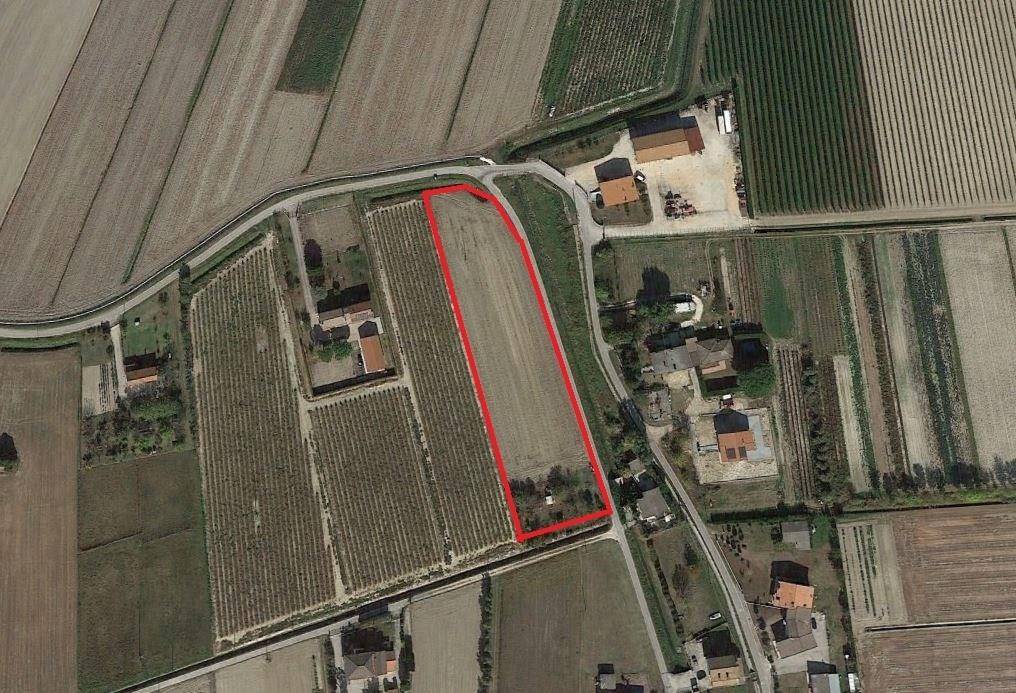 immagine annuncio 1 di 3