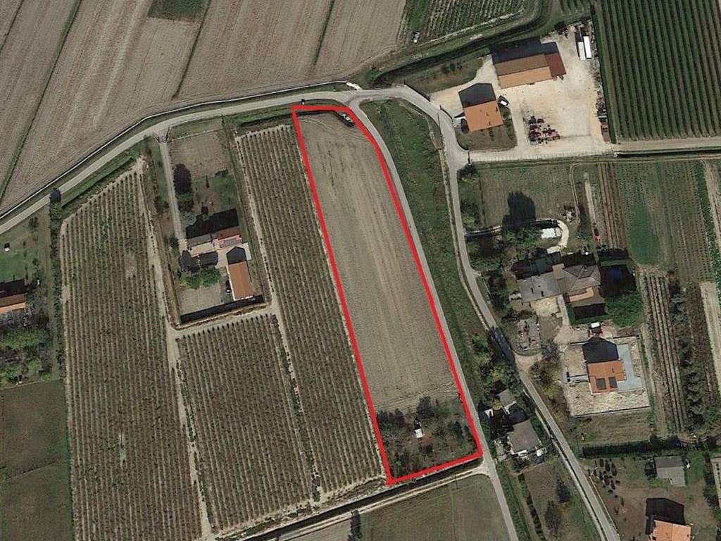 immagine annuncio 2 di 3