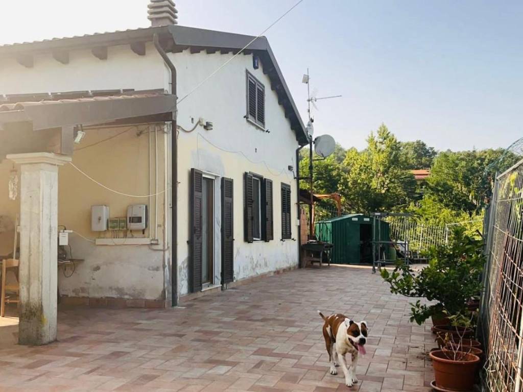 immagine annuncio 3 di 5