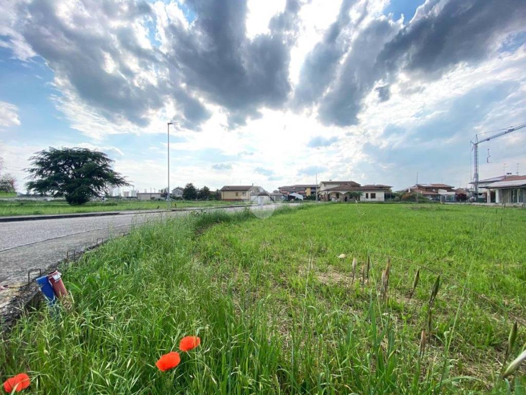 immagine annuncio 2 di 3