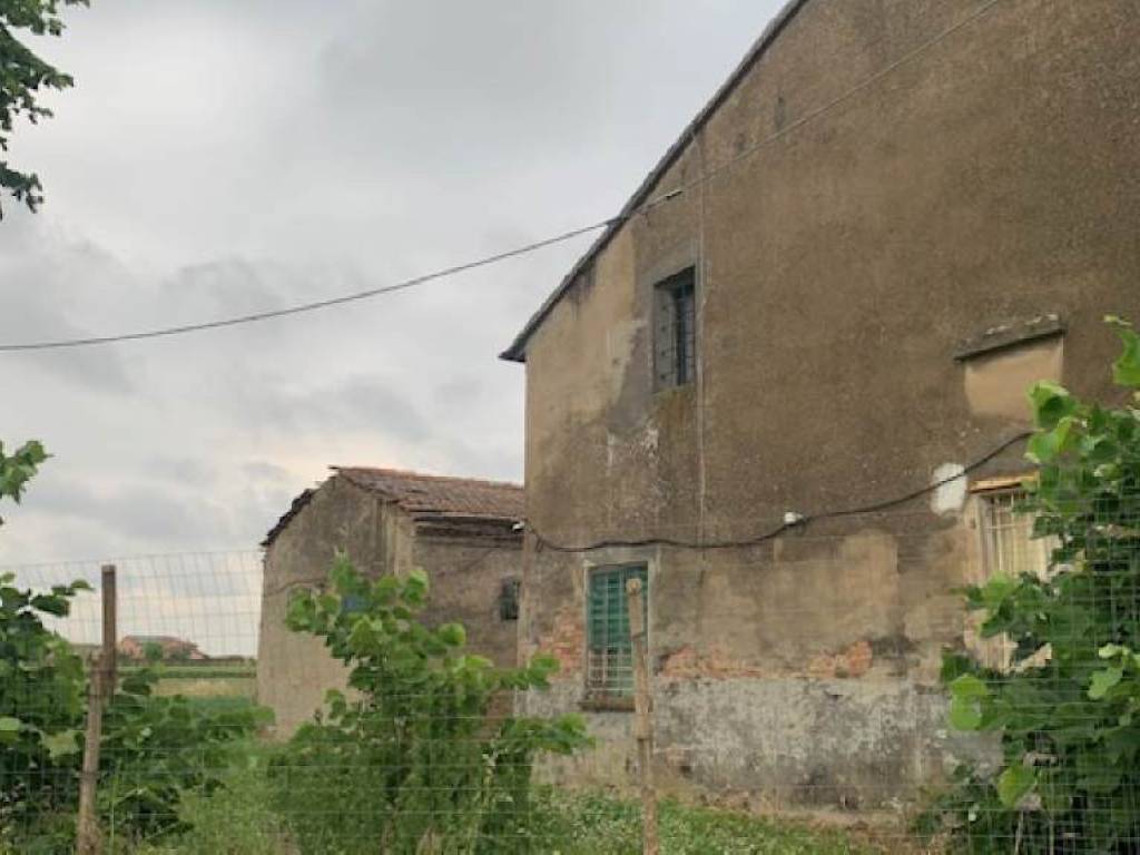 immagine annuncio 2 di 4