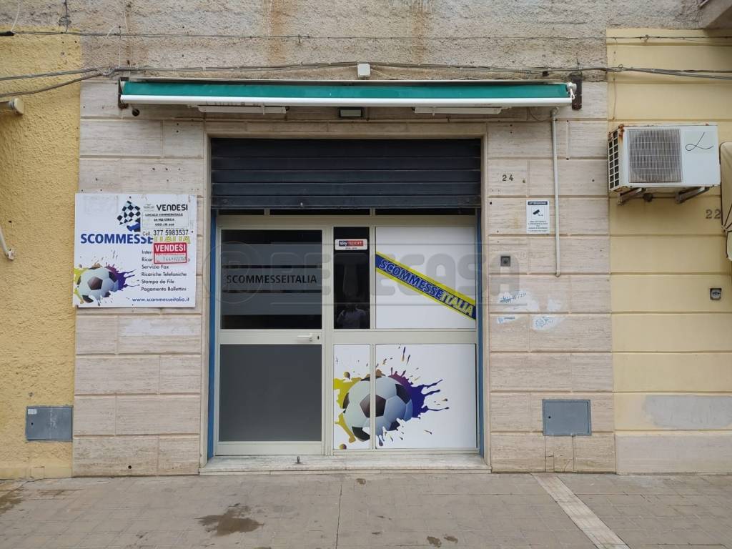 immagine annuncio 3 di 5