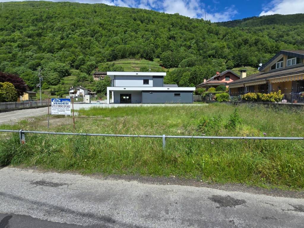 immagine annuncio 4 di 5