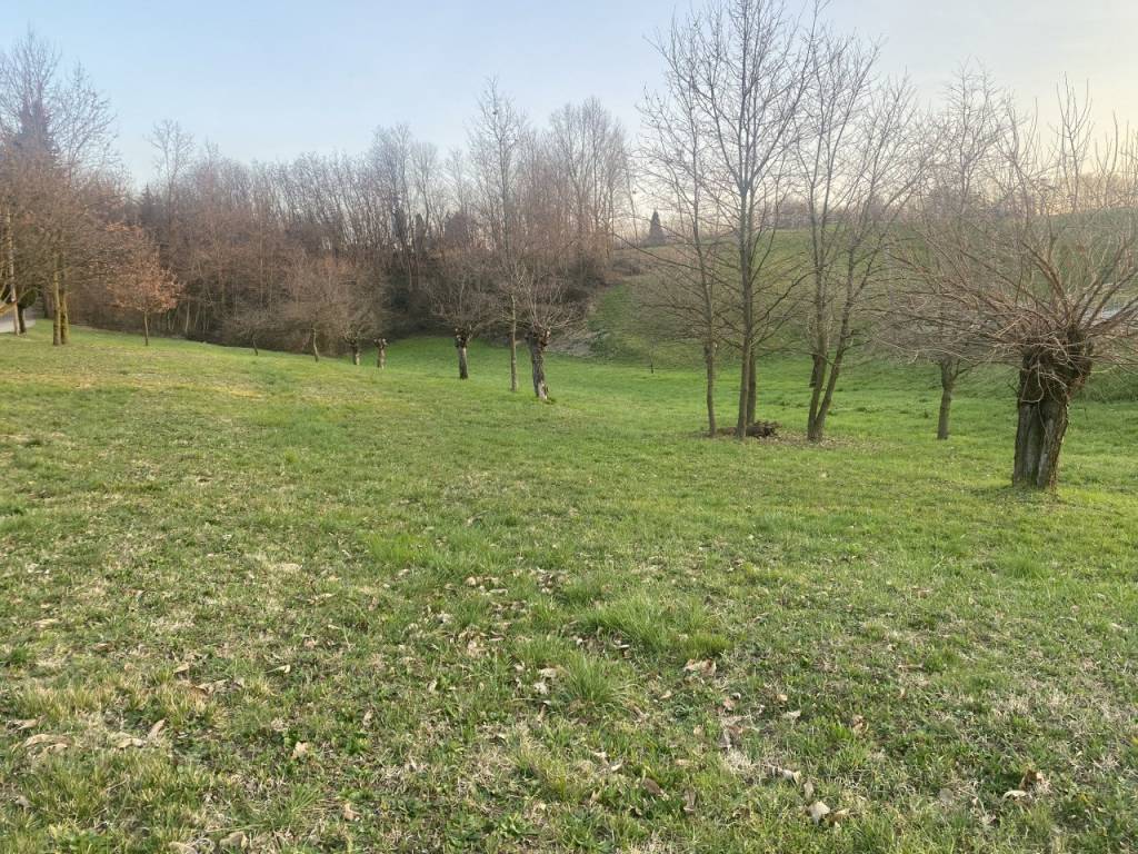 immagine annuncio 2 di 3