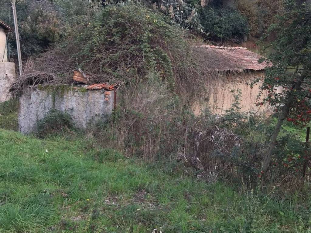immagine annuncio 1 di 3