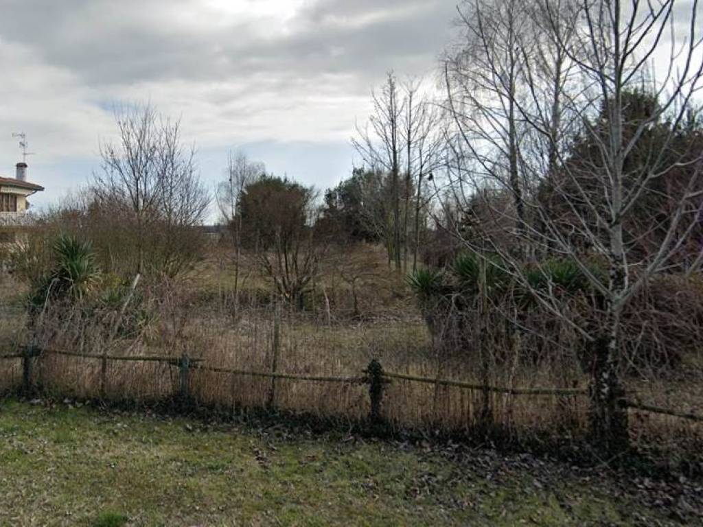 immagine annuncio 2 di 4