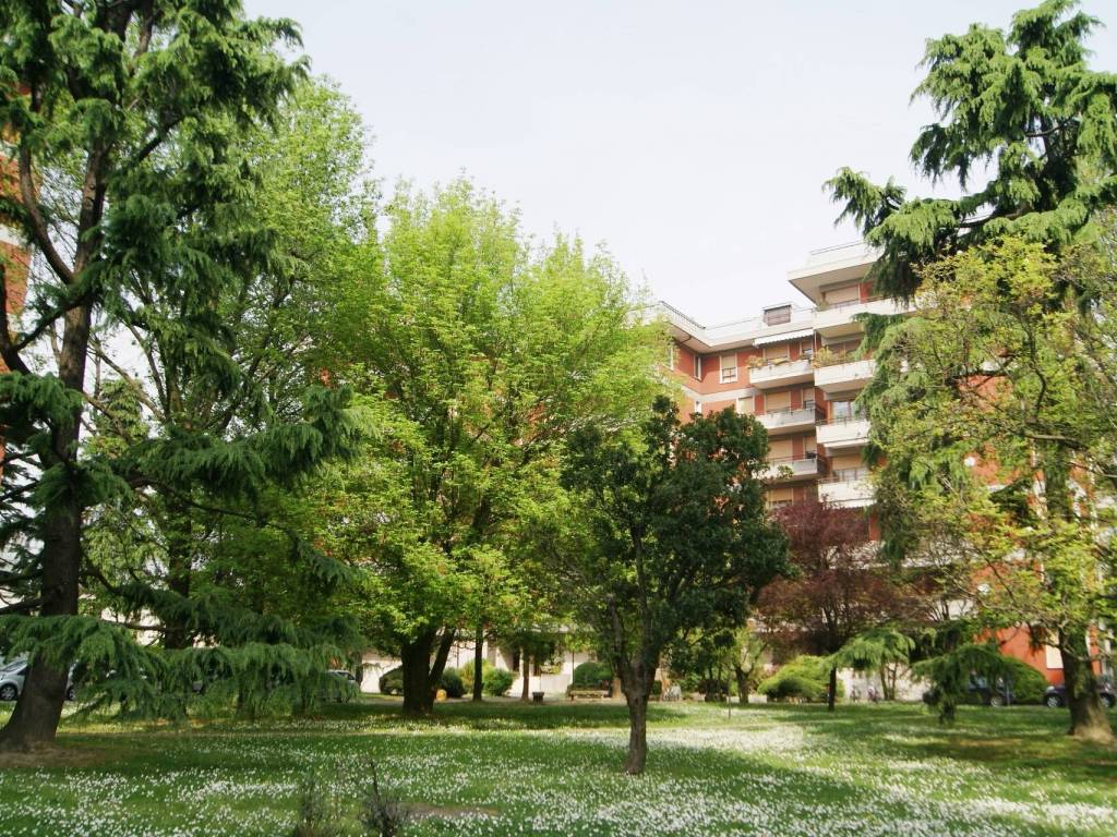 immagine annuncio 1 di 3
