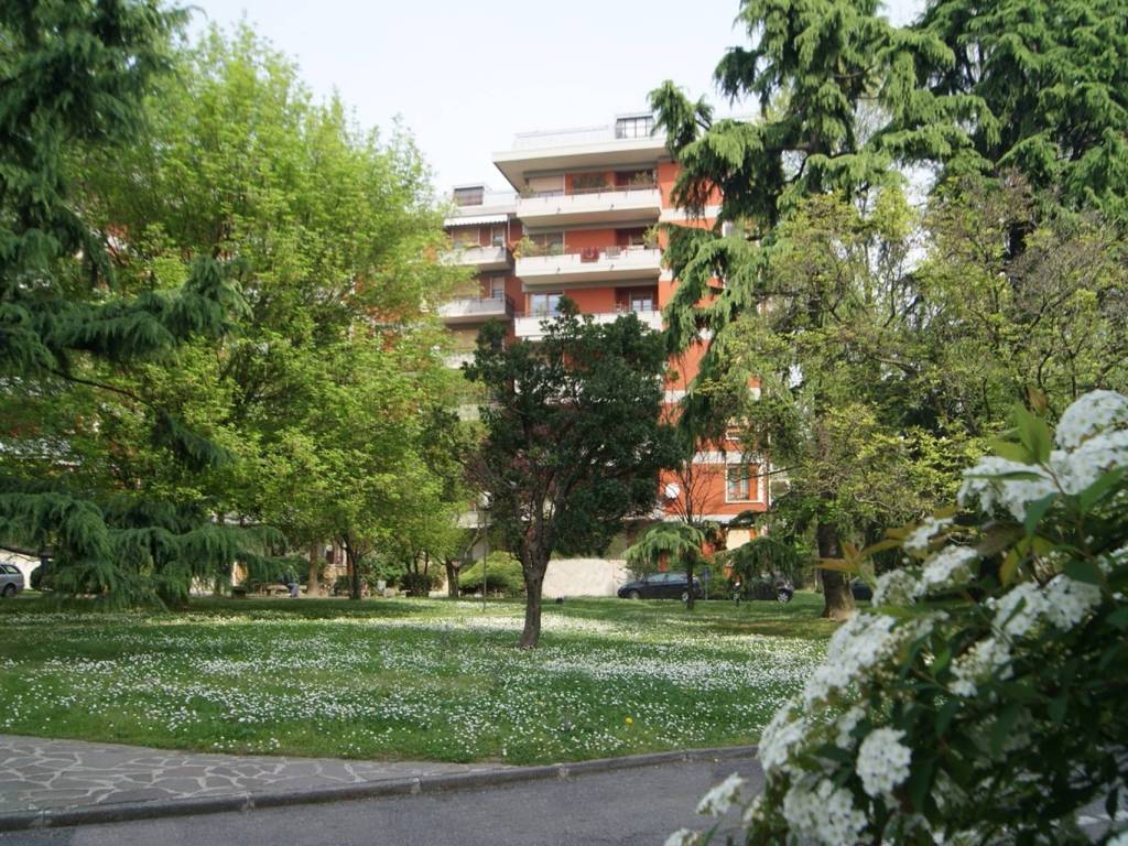 immagine annuncio 2 di 3
