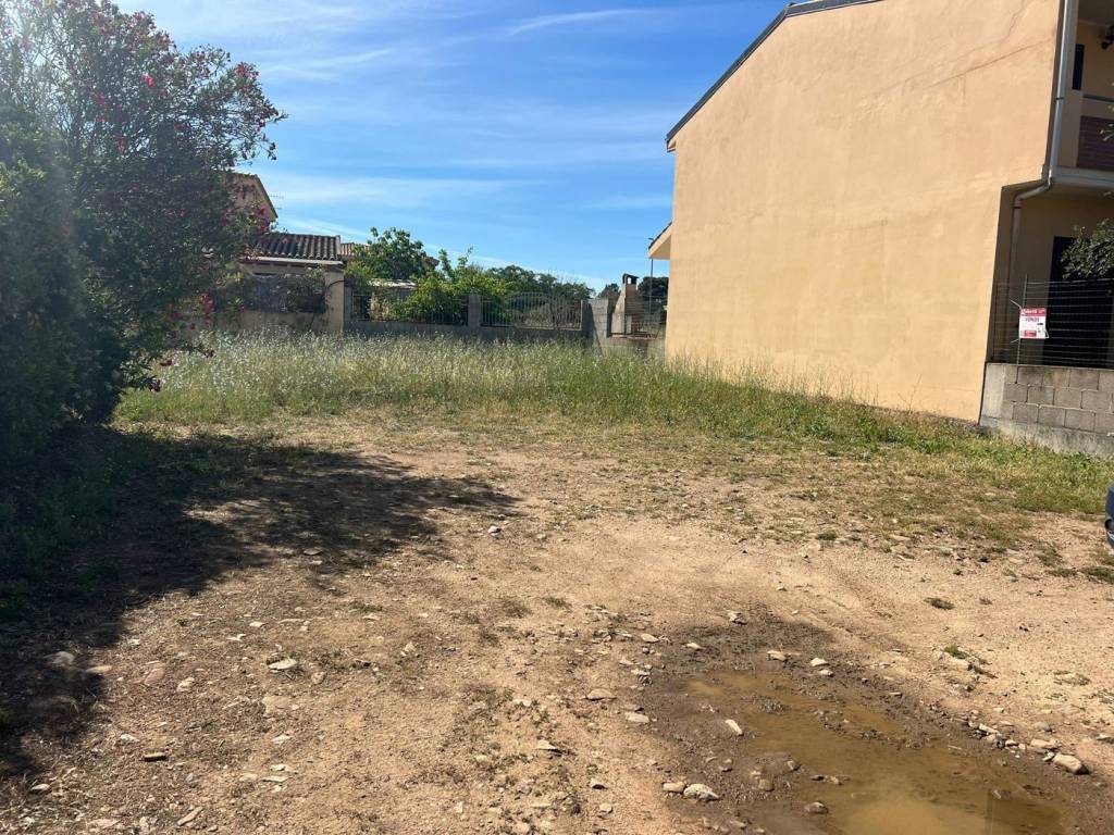 immagine annuncio 1 di 4