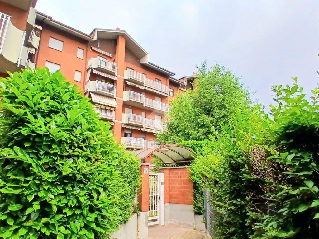 immagine annuncio 2 di 5