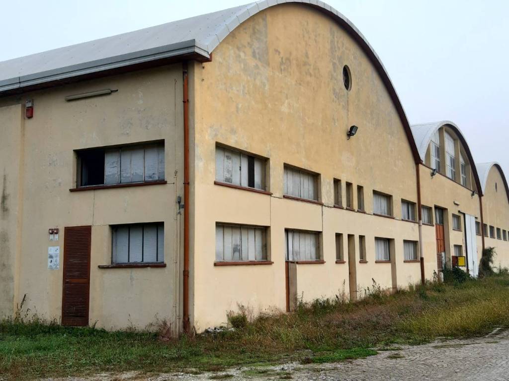 immagine annuncio 1 di 4
