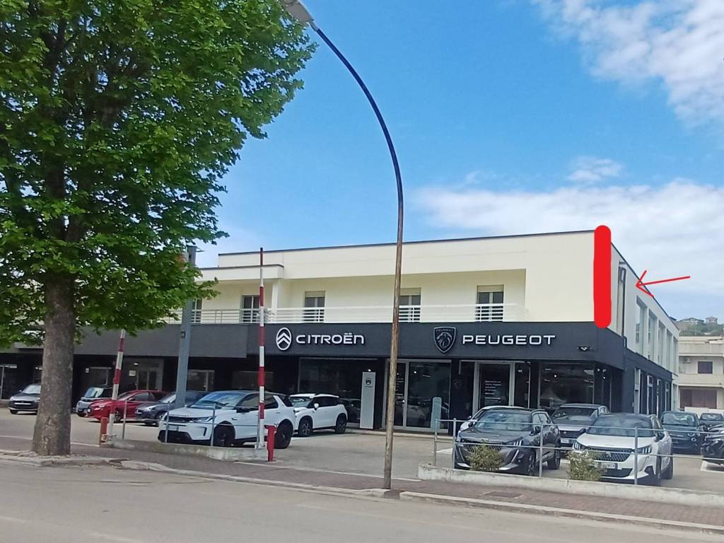 immagine annuncio 4 di 5