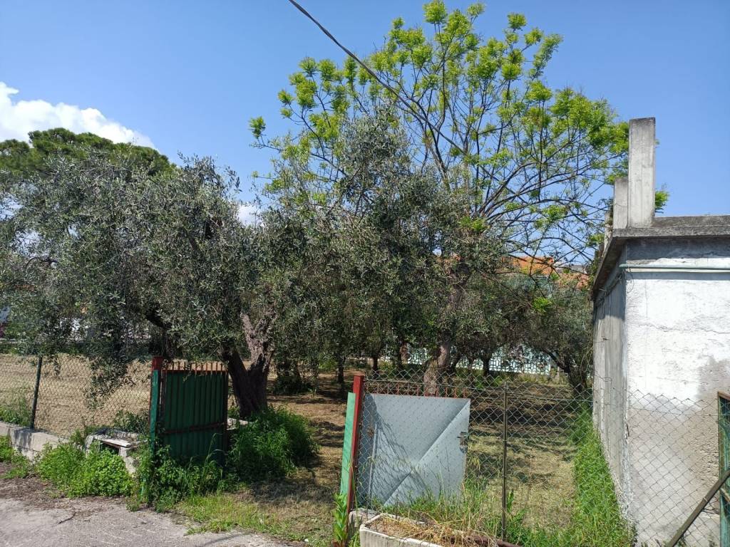 immagine annuncio 1 di 2