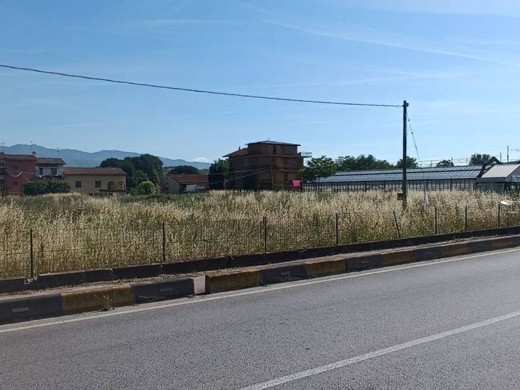 immagine annuncio 3 di 4